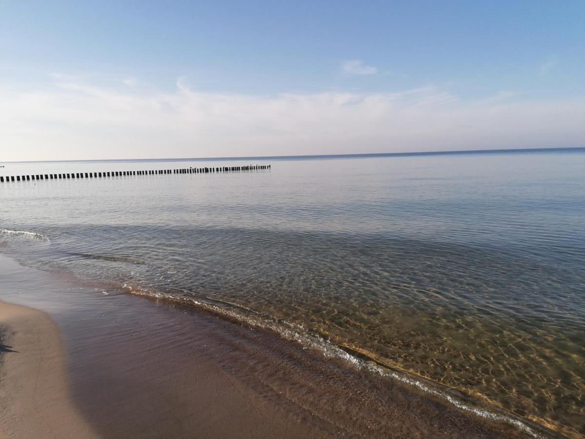 Apartament Alga Klifowa Реваль Екстер'єр фото